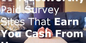 11 Trustworthy Paid Survey Sites That Earn You Cash From Home laptop couch panels