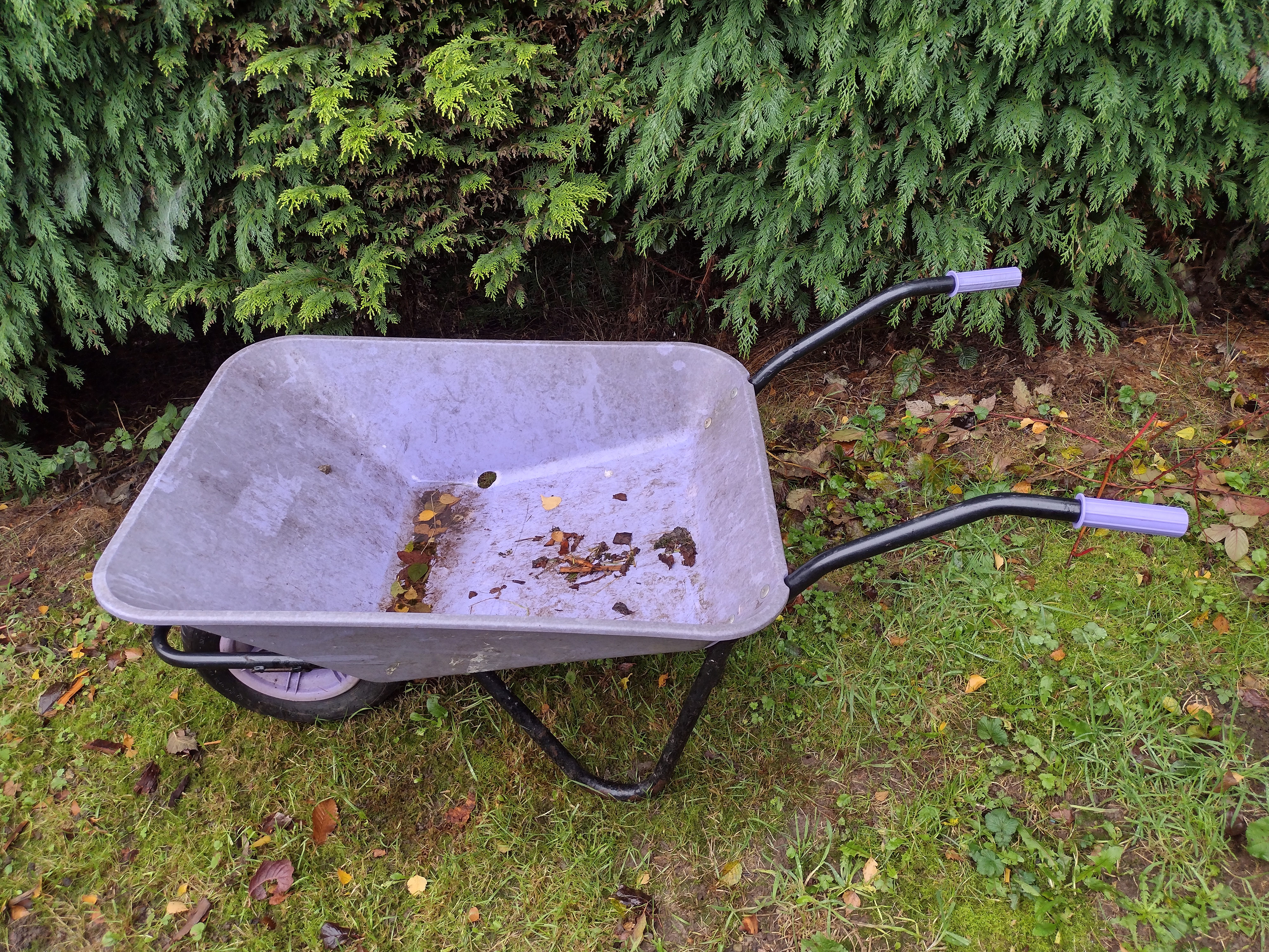 carry Chopping Wood Part 1 - Gathering The Necessary Materials save money gas electricity energy heating winter timber burner transport location place yard wheelbarrow house home storage garden cutting logs